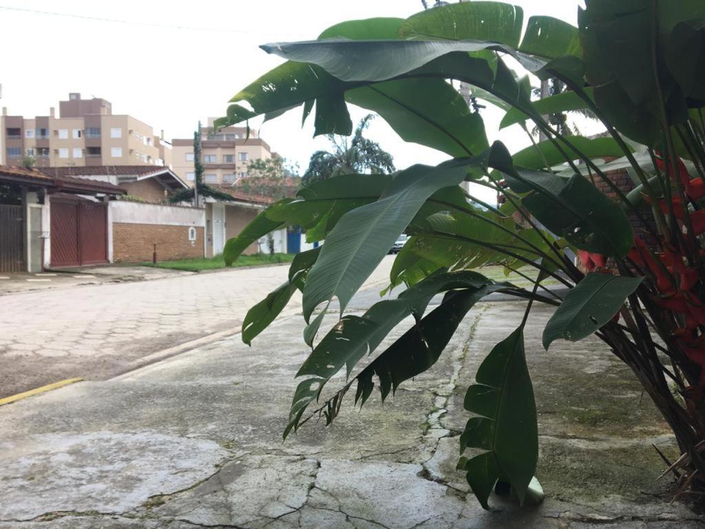 Efferus Hostel أوباتوبا المظهر الخارجي الصورة